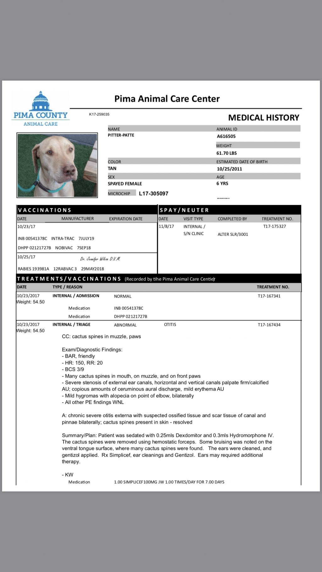 how-can-i-tell-what-vaccines-my-dog-had-based-on-the-codes-intra-trac