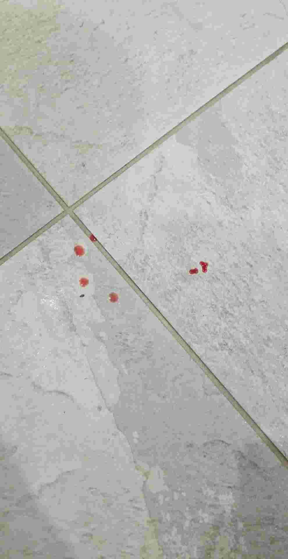 My 4 month old female dog pee has blood on it, she