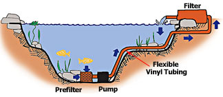 Foroffice Koi Pond Pump And Filter Setup Pond Filtration Petcoach Koi Pump And Filter Setup
