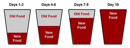 how to transition dog food how to transition dog food