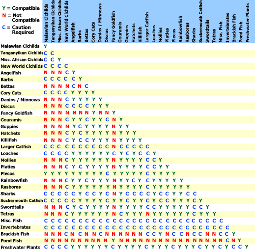 dog breed compatibility chart dog breed compatibility chart