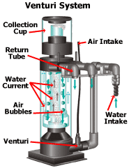 aquarium protein skimmers best